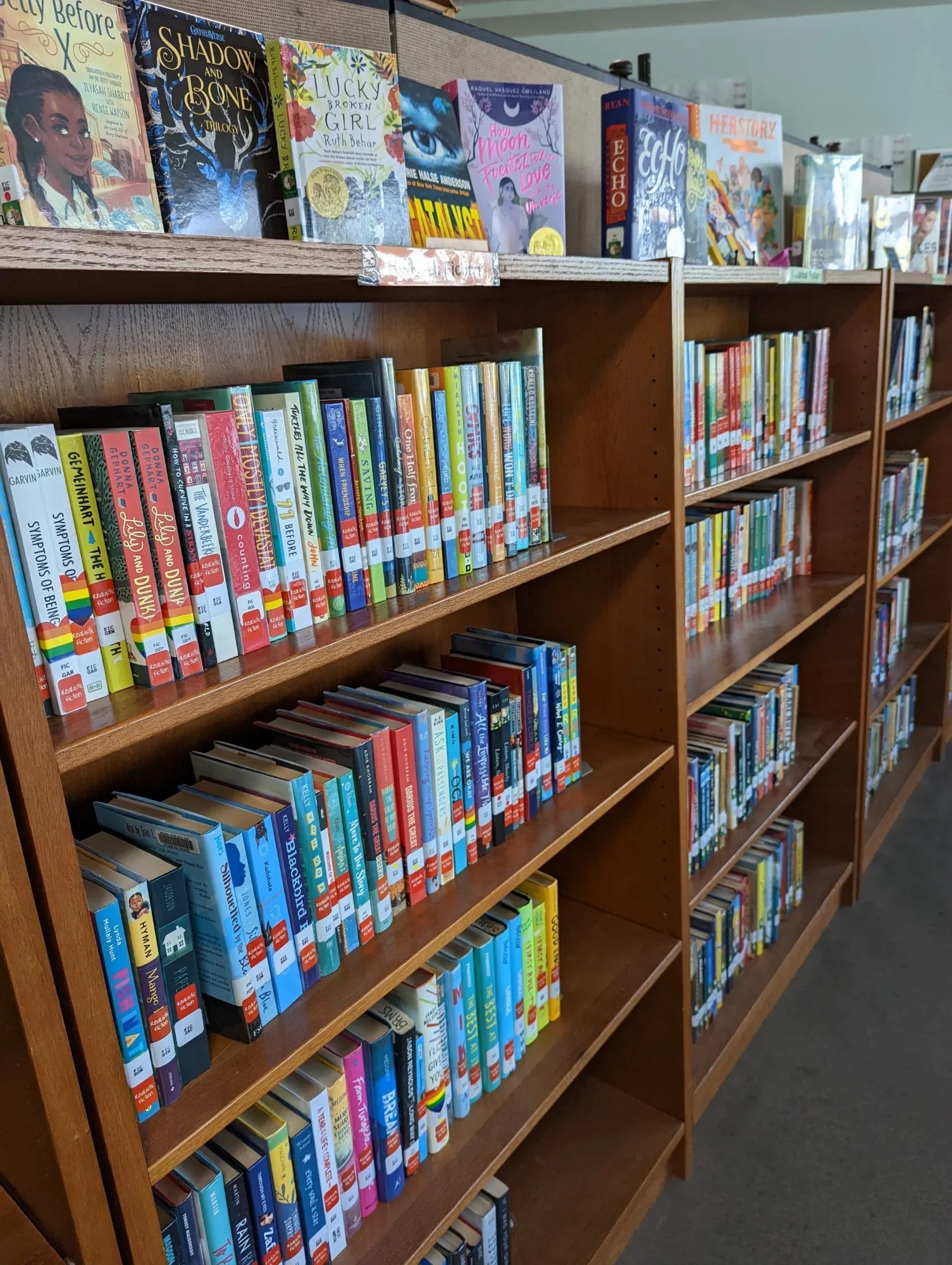 Library at Ideal Public School